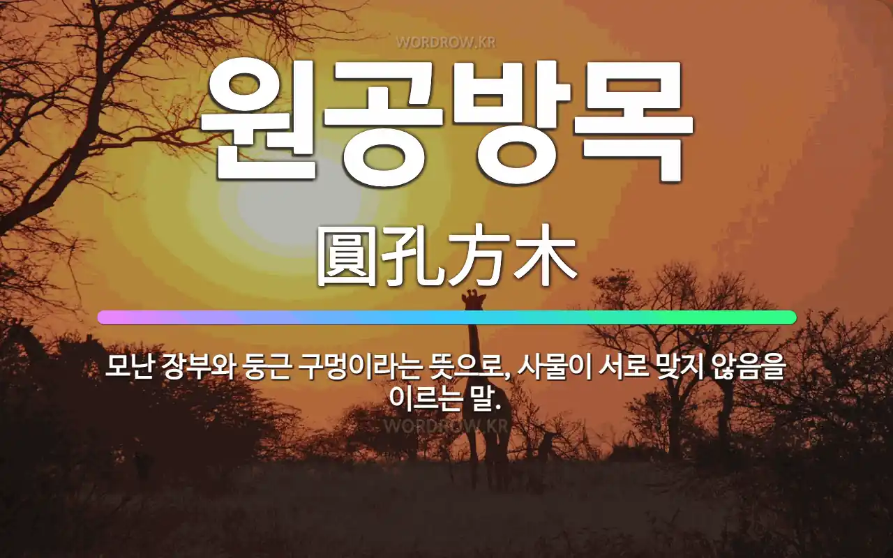 656c4be4-4427-4511-8319-571625df7700.webp