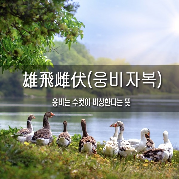 6a8b2db1-d6cb-42d2-b884-7dc6f5792dff.jpg