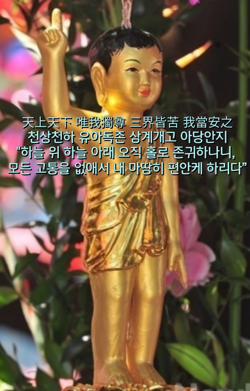 740ffb9a-672a-4370-8d5b-6d06671a29f3.jpg