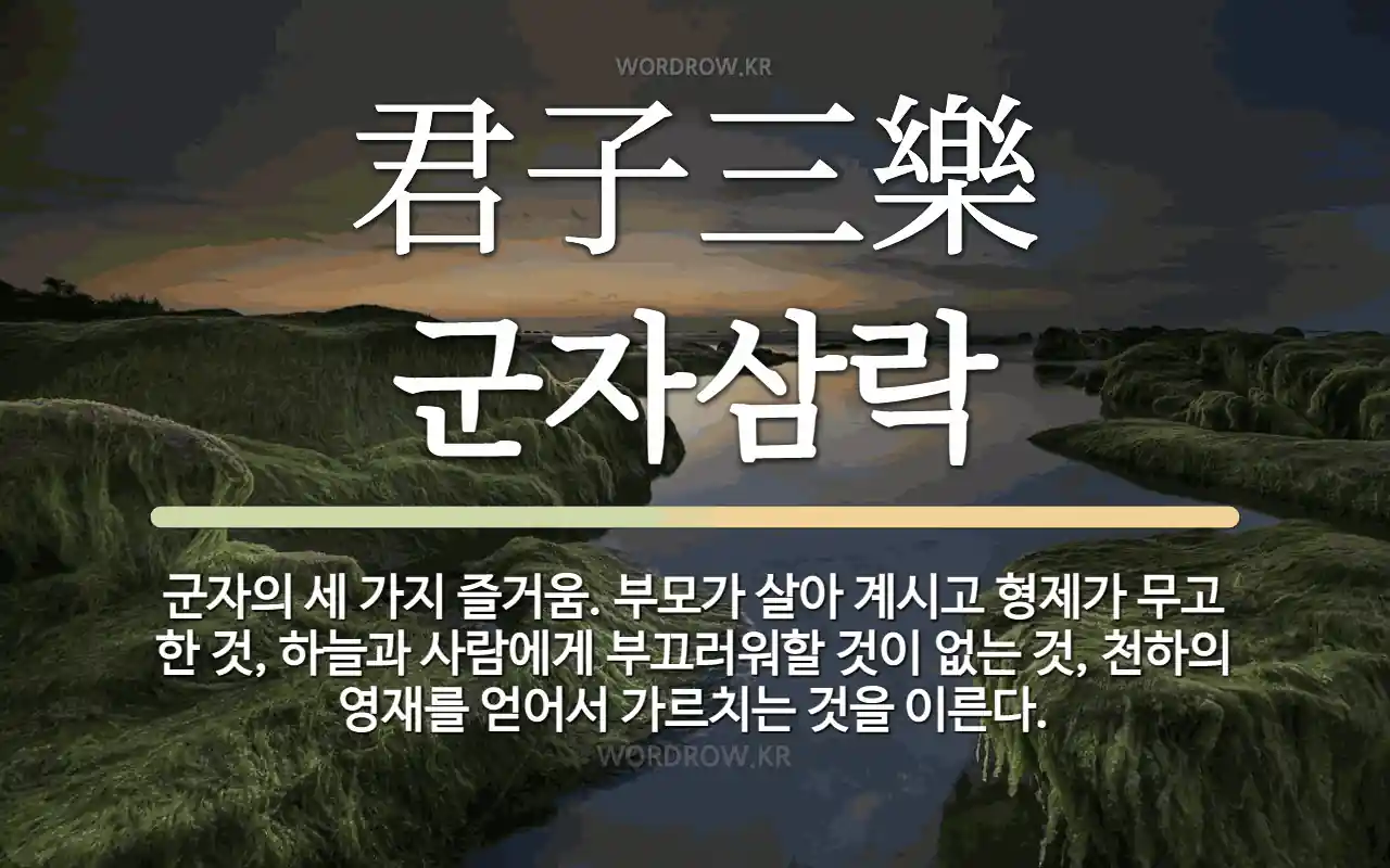 88804fba-5c2c-4df9-9318-128df340c0a6.webp