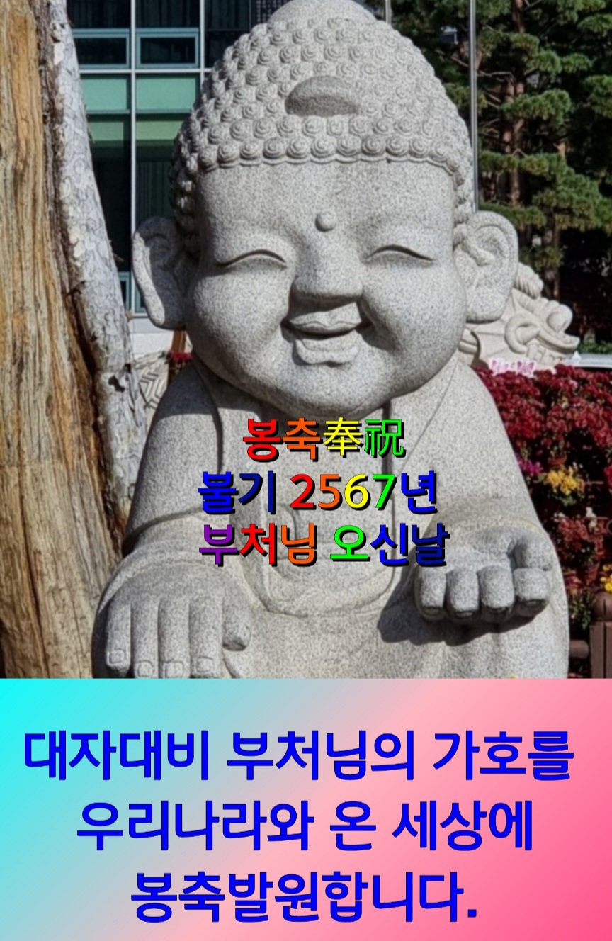 a5166f5a-da6a-46c3-801b-dccb59567908.jpg