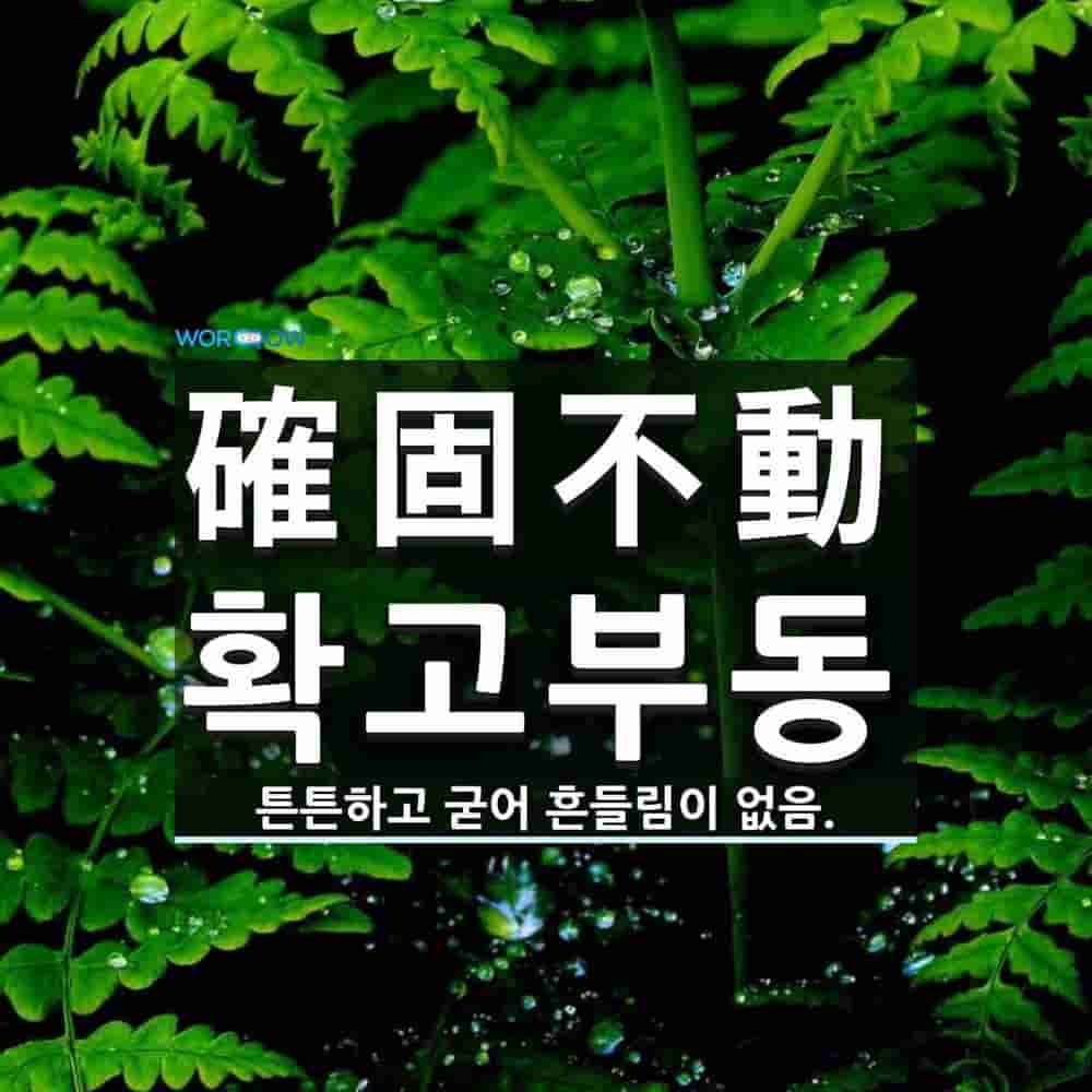 abbaa847-8b60-4071-a5dd-1fee42908488.jpg