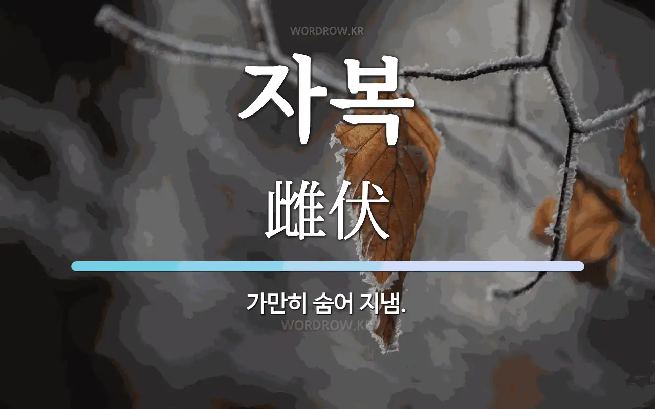 ad656474-83d5-4efd-b214-da1d7a1adf01.webp