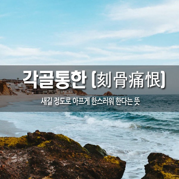 bd488676-9fc0-49b8-b565-3151ae1efa7c.jpg