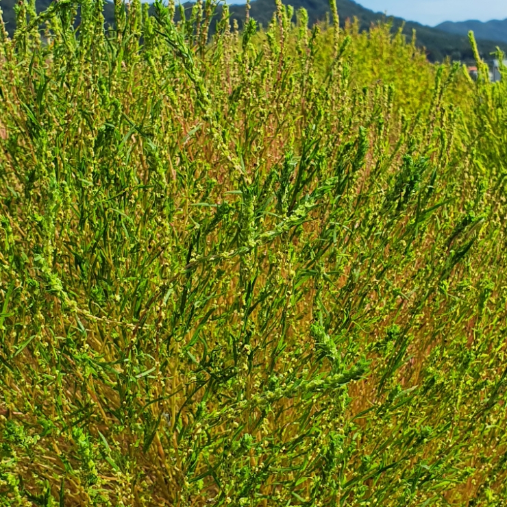 c2d4d855-1cc2-48e7-a614-af1798656207.jpg