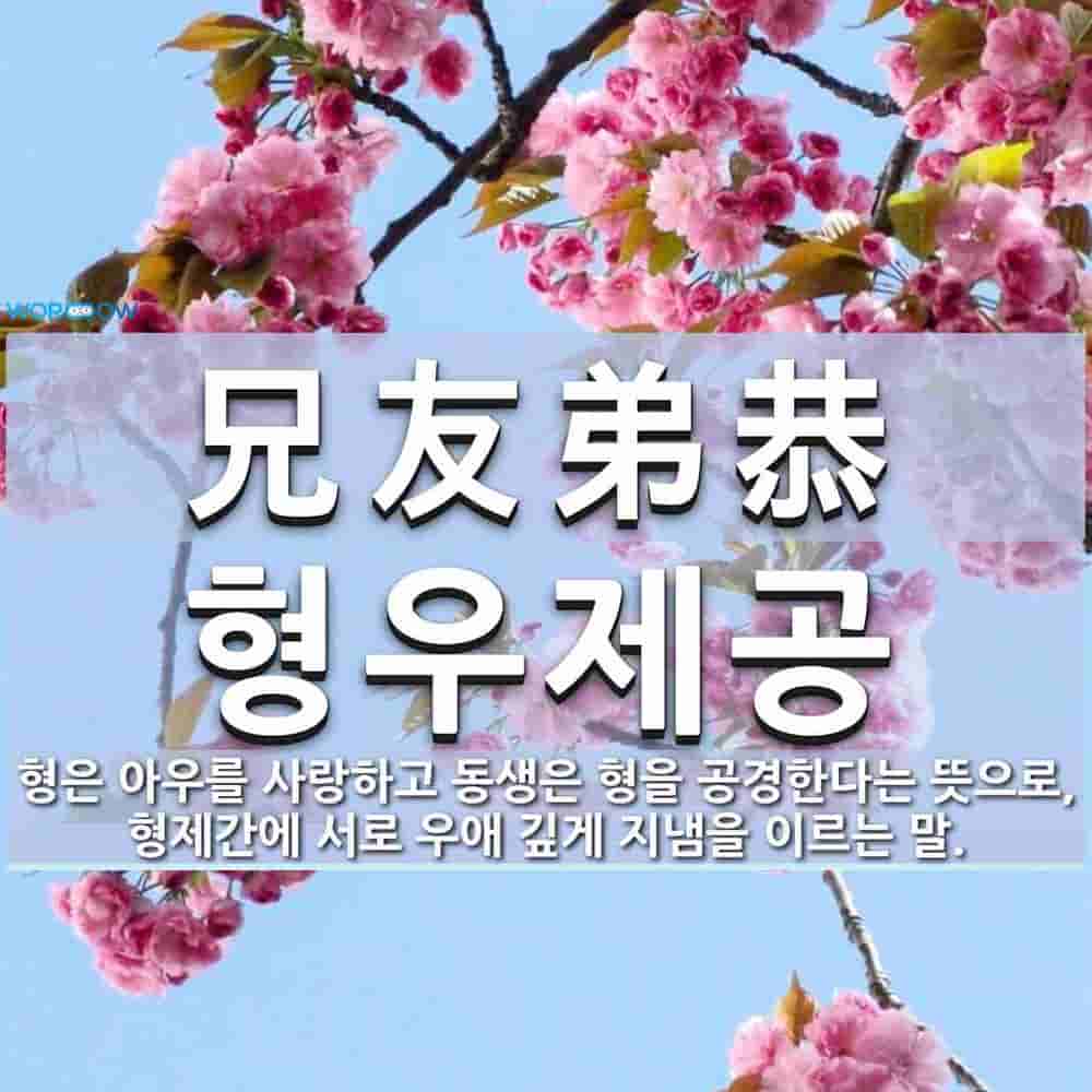 c5d33da4-97c6-45e2-9c4e-d2a3af11309c.jpg