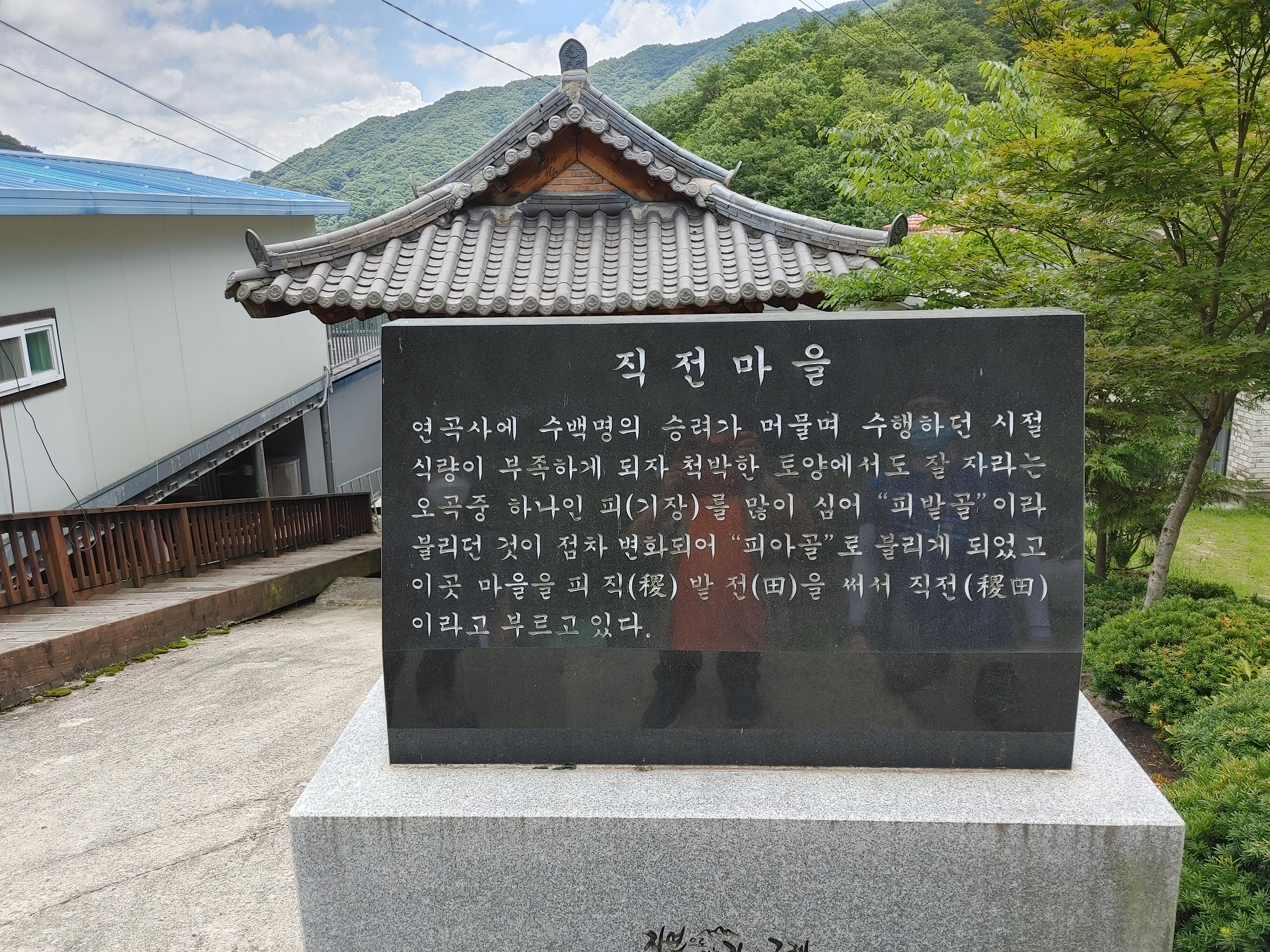 cabc8318-d88f-48d5-9fac-8cef06d1366a.jpg