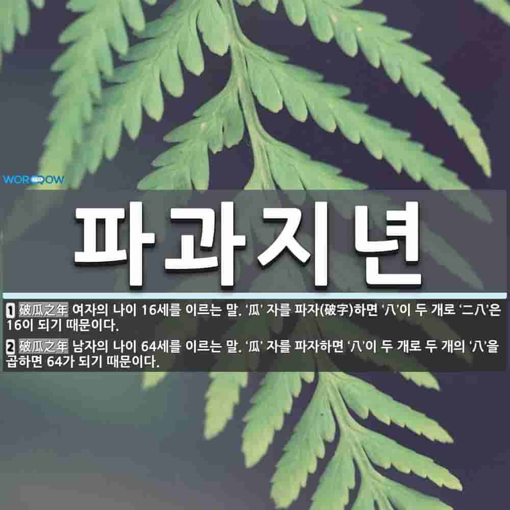 cbc3593c-d26c-4b06-8846-3aeb8fa8a549.jpg