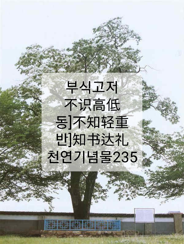 cc082d83-d761-4c1f-8ba6-1e8a5b9bcec7.jpg