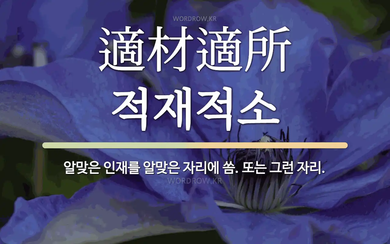 d29338ab-c086-4434-8868-9c87a0ad2662.webp