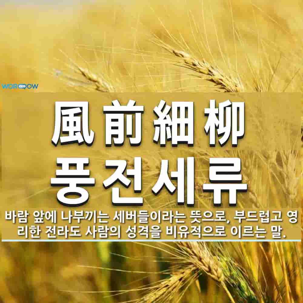 d2f0448c-a6d4-4db2-a203-718e5e3a7658.jpg