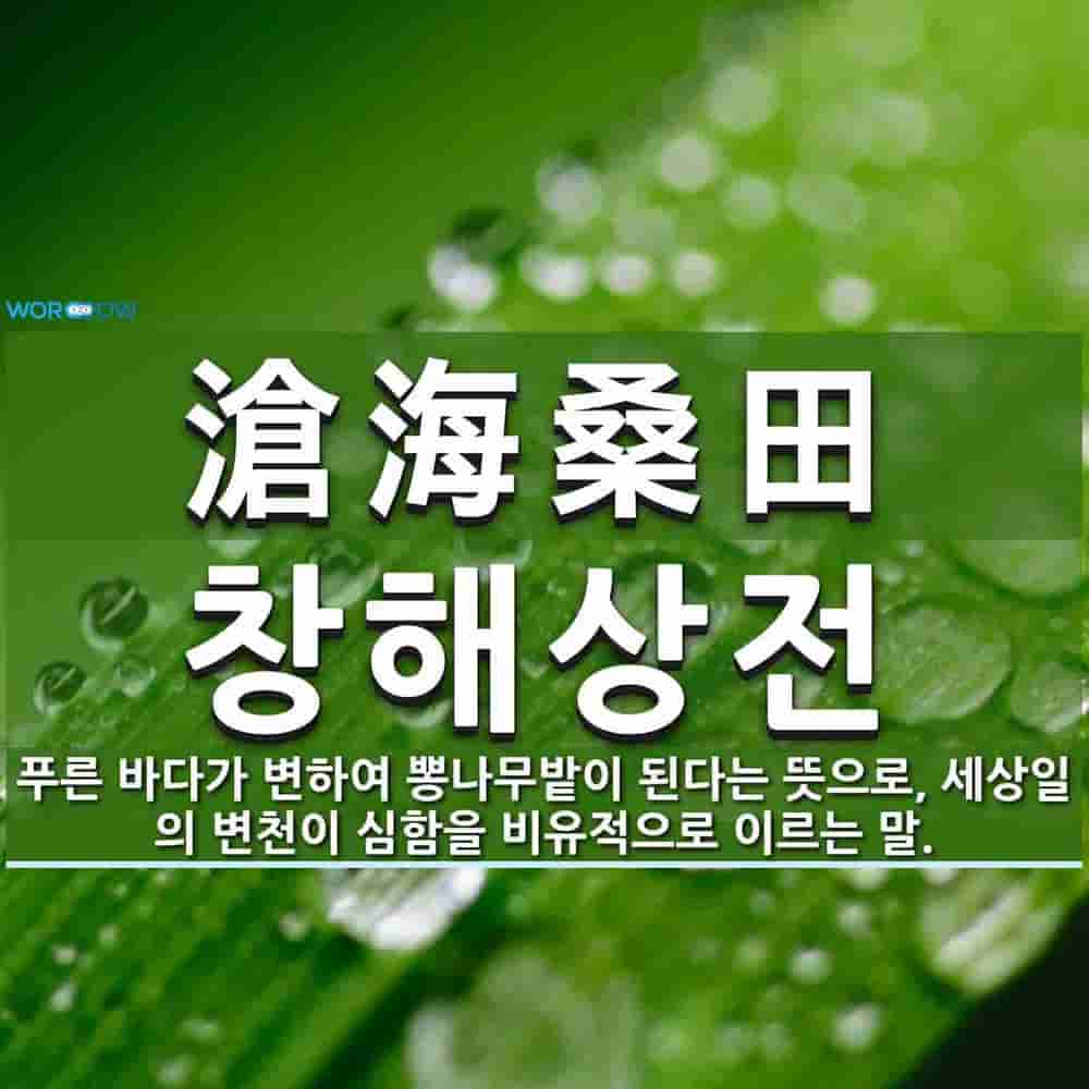 f20b9daa-a115-4cf0-a449-b64a1752e121.jpg