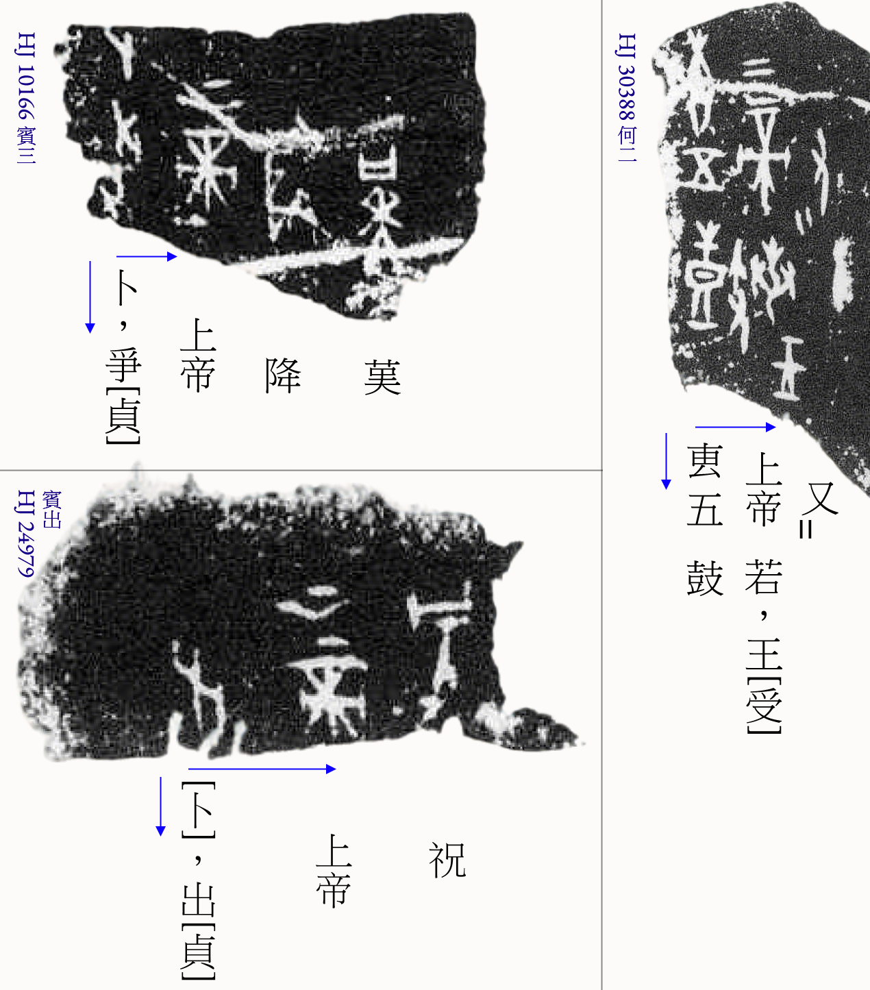 39c5d207-31dd-412d-a0fe-33c6d8e44598.png