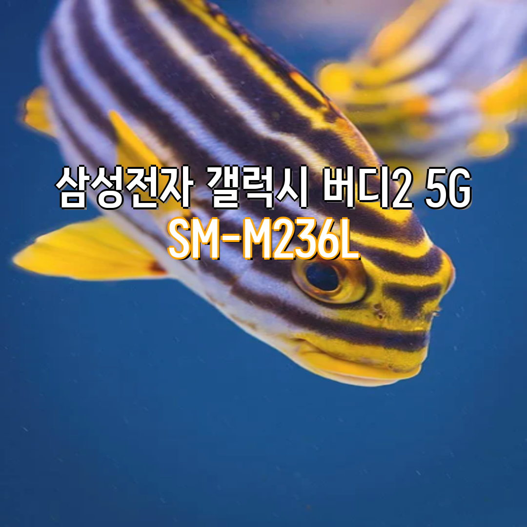 0048d85f-ded7-401f-815e-4cf67f305b2e.png