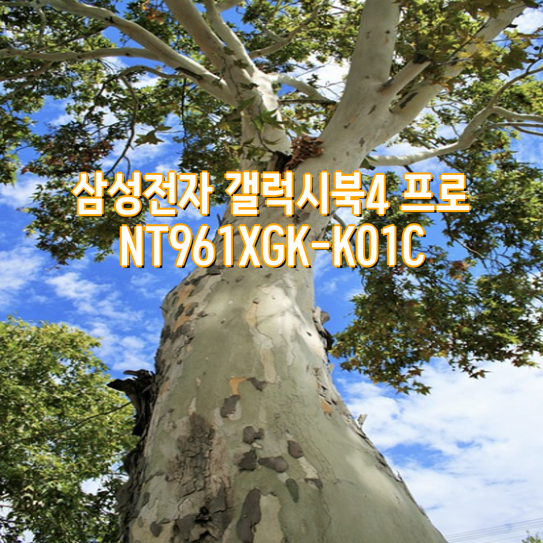 56e25533-2a23-443e-bf23-91e01bf1f0b1.png