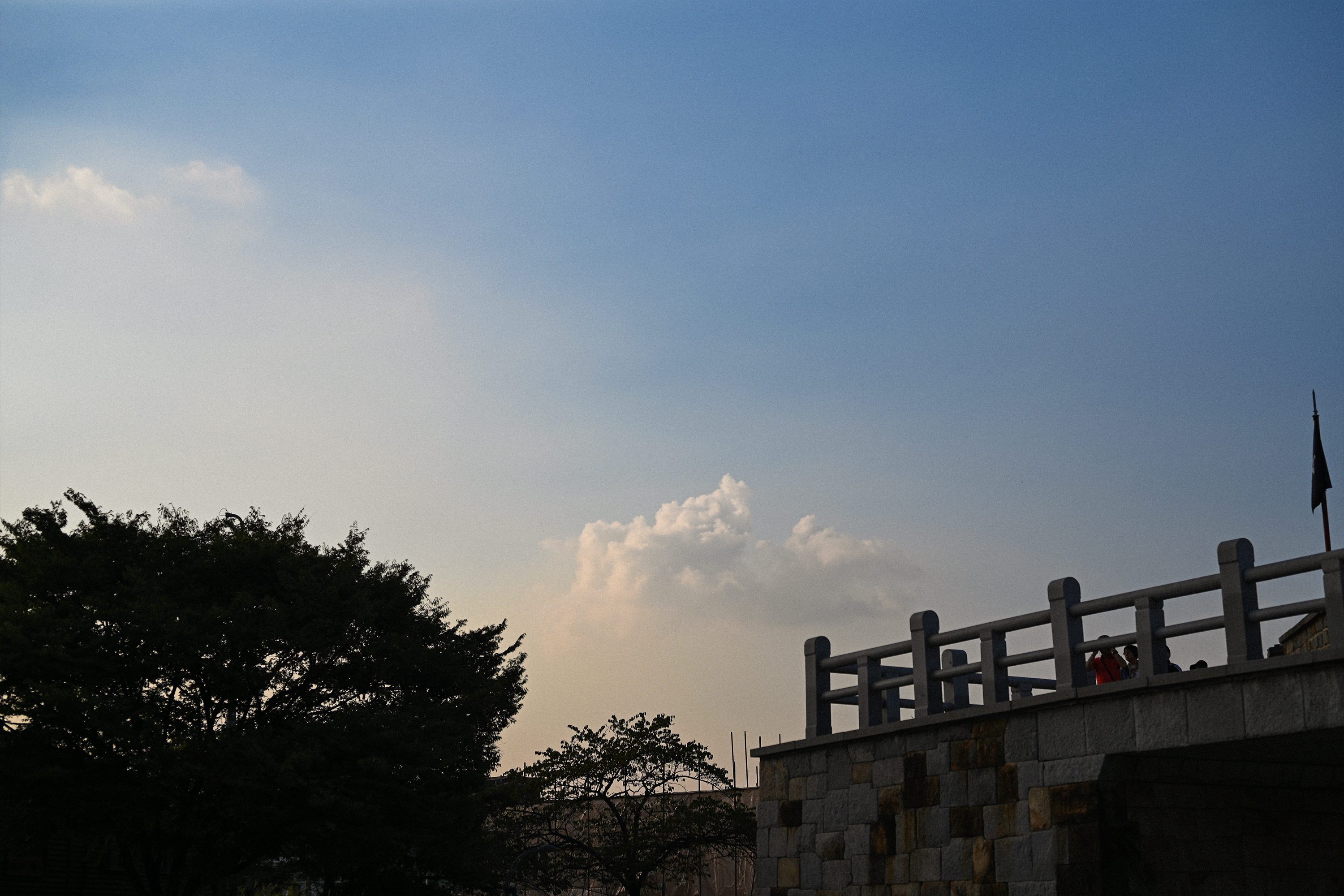 8975ad91-cc92-43d6-899c-d9a83e3e31eb.jpg