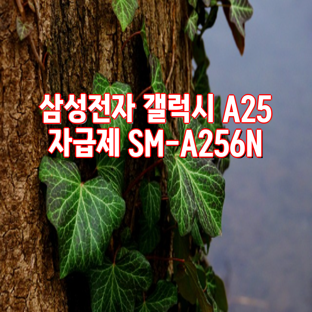 a4fa7d7c-b66d-4561-bb65-019ecd6ed516.png