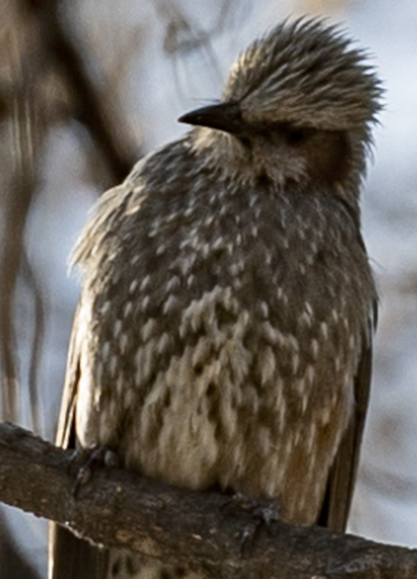 cb2b1c0f-6704-450e-afad-33a616575dec.png