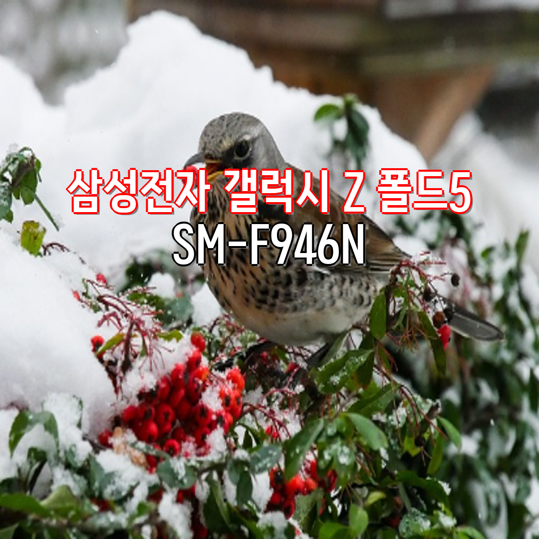 cf1aebbc-ad87-4d52-bdcd-121e6e5fb7a5.png