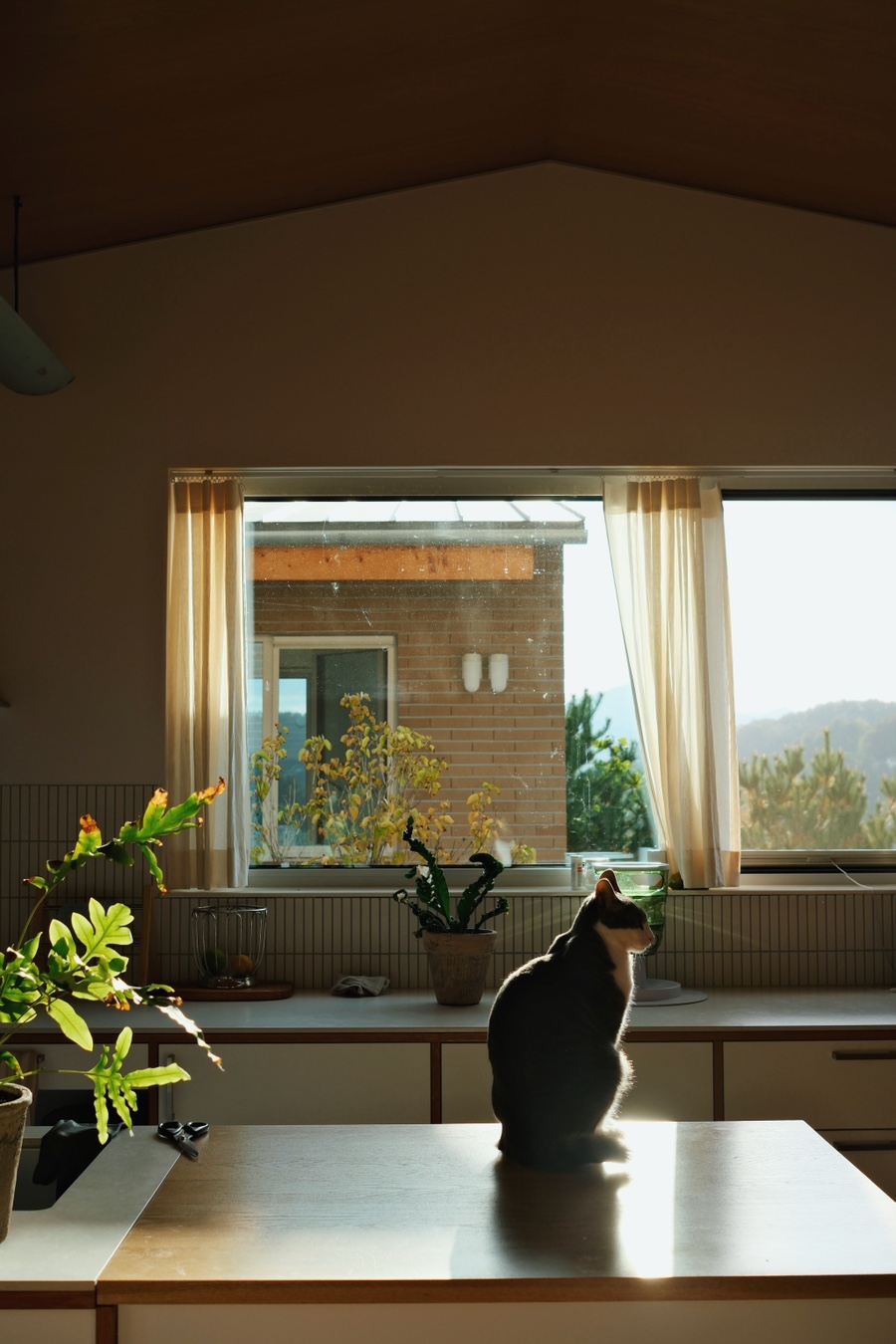 fa72515d-9c49-40b4-91a1-a3660f0394e5.jpg