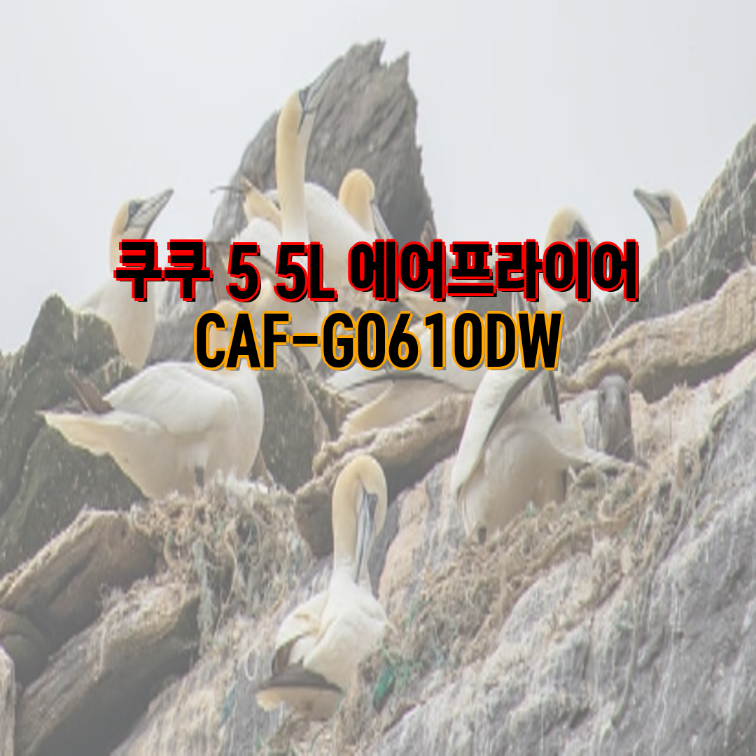 ff6cb36a-ffb2-43a9-99cc-ccd71794eb77.png