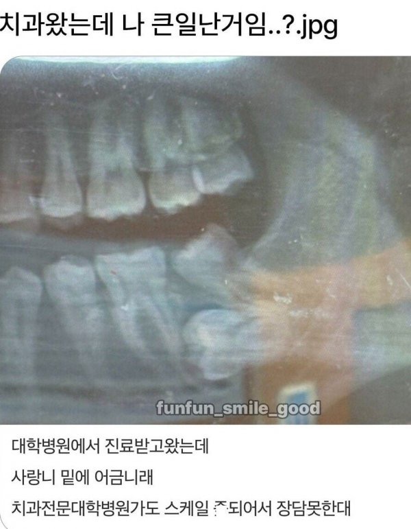 Xgil9bdnu8tiCvgWCtwrtRN0tU0RIRJ9JEQbKAhU.jpg