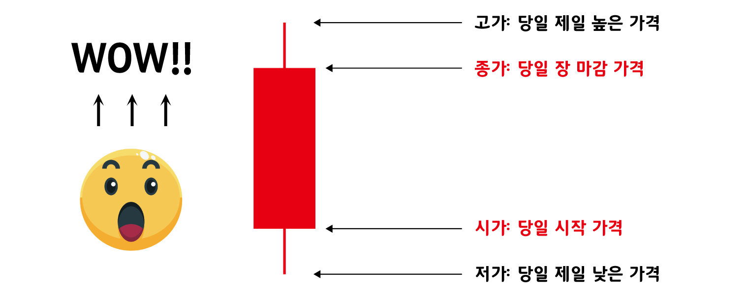 c1b58550-48ed-4b6b-80b6-7cd1d5d2ea42.jpg