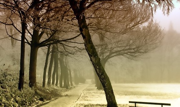 e14b7cd2-7673-40f9-80f7-0b797ad285c9.png