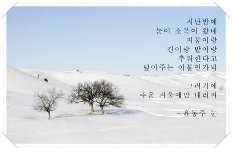 34209eed-d66f-446f-bf1a-2109decd4707.png