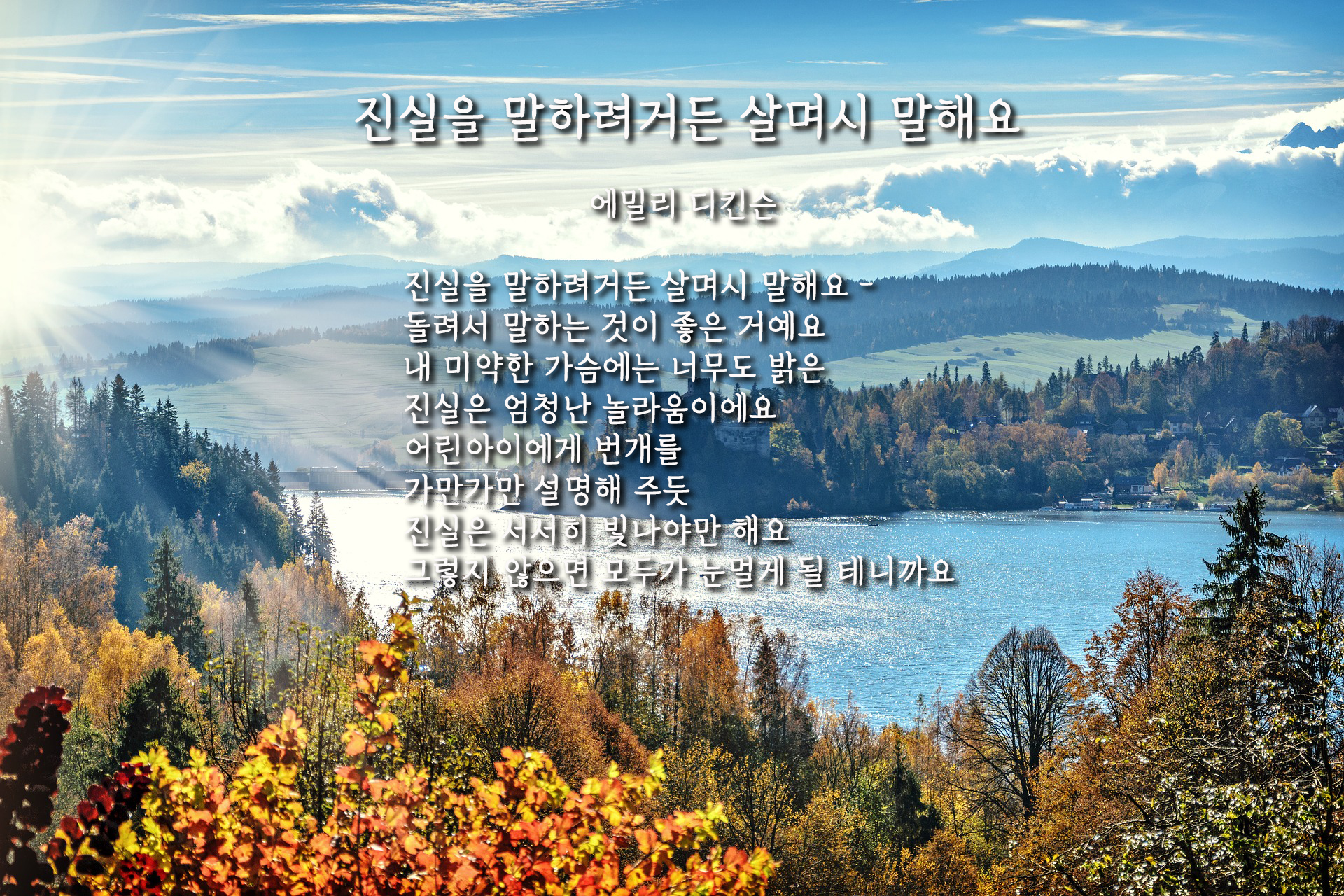 3e1175d5-dce6-4830-97ea-83c6d4f84d00.jpg