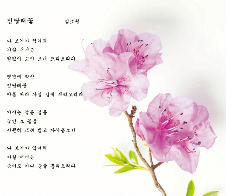 5e2929a7-bb48-469c-8dad-91ef27e0110a.jpg