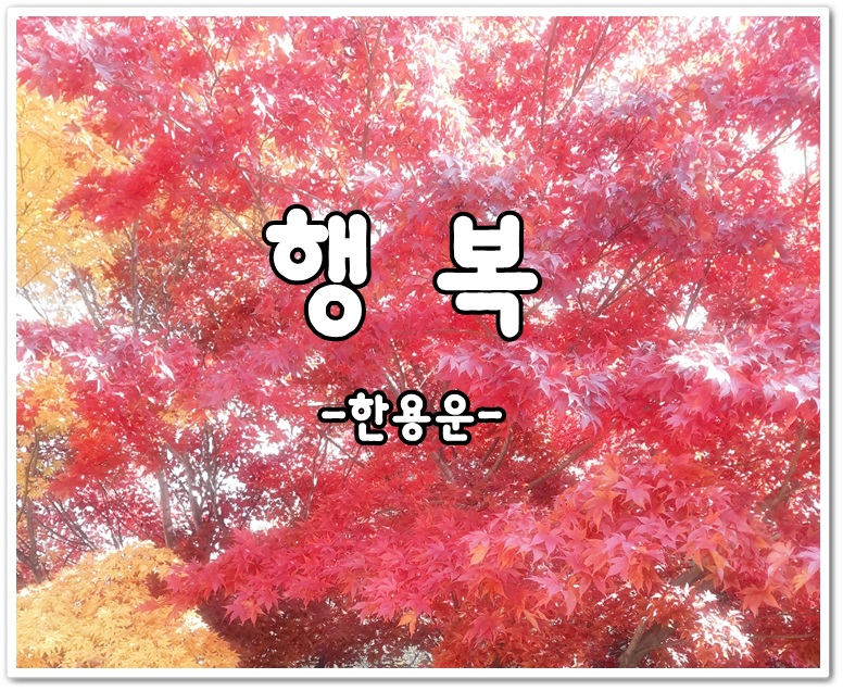 7c32148f-44ab-4fe6-b2a2-dd853ad2f0cd.jpg