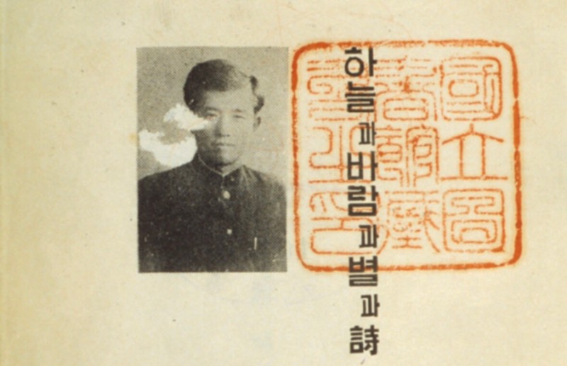 85a66f1d-1ba4-4c35-aa7a-1a7c6a4c97c6.jpg