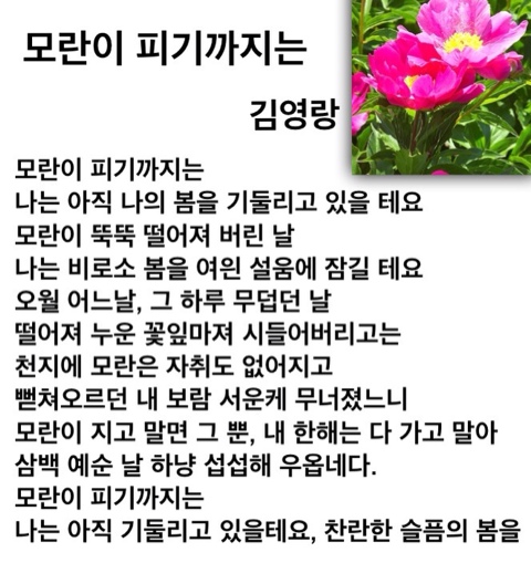 8f4d7572-29d2-4d31-8871-7251f02ea7b2.jpg