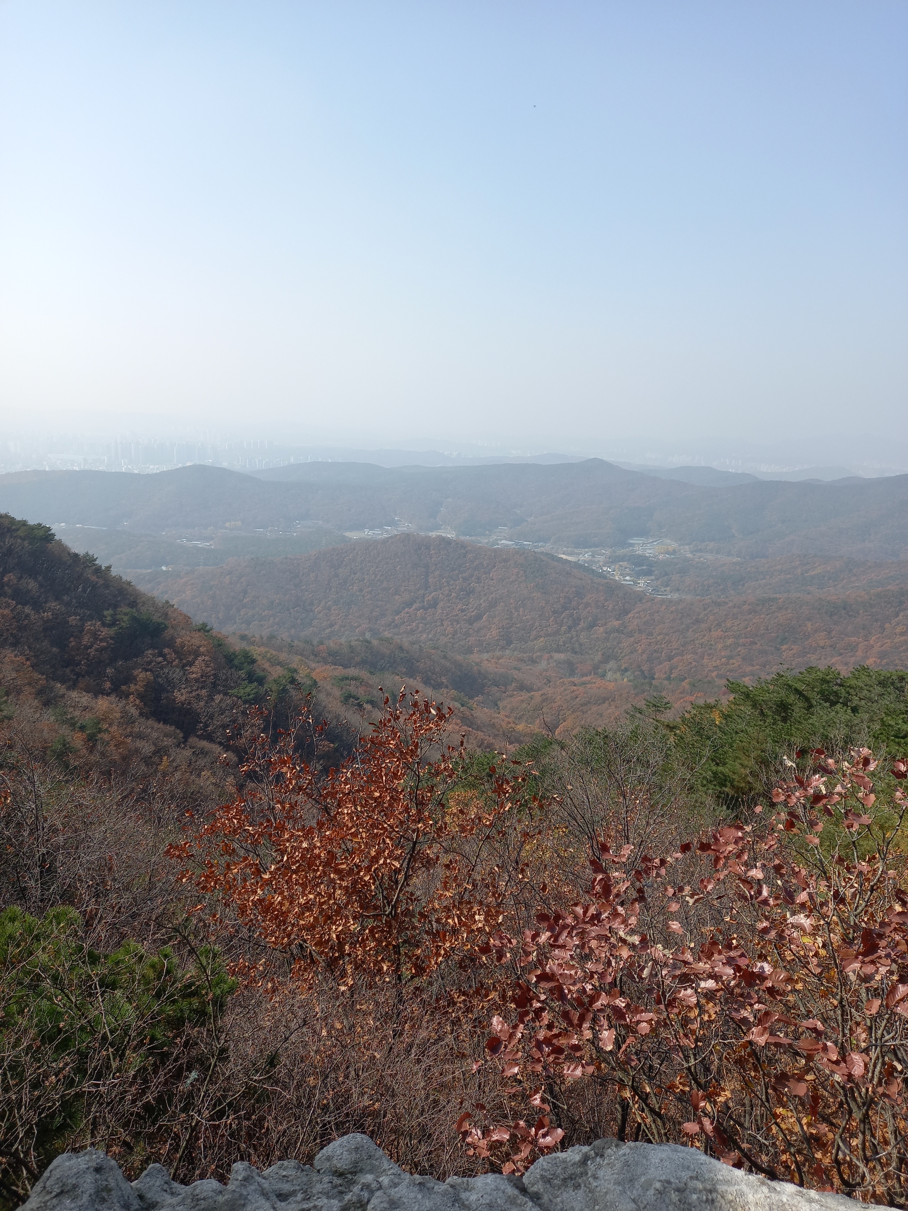 938149d2-1fcd-49da-a108-0a74da251629.jpg