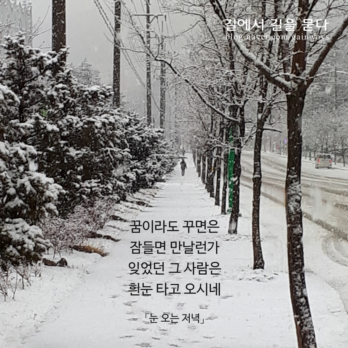 9dc33e27-6038-4f1f-abce-008cca6058ea.jpg