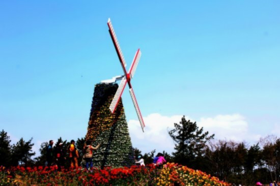 af6ad125-d32f-481b-997e-89906c8f03db.jpg