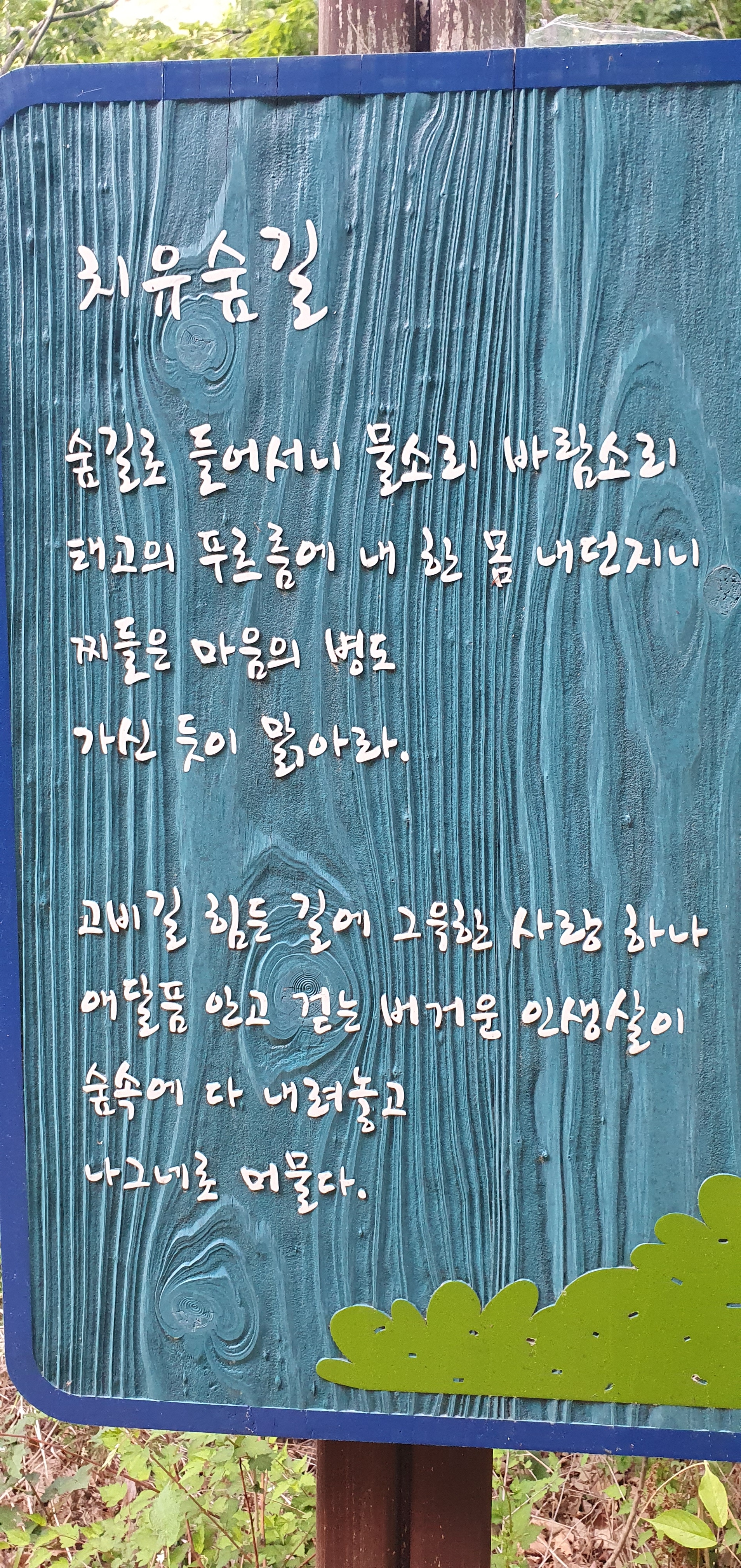cce17368-2141-40dc-9c9d-6d73541eca29.jpg