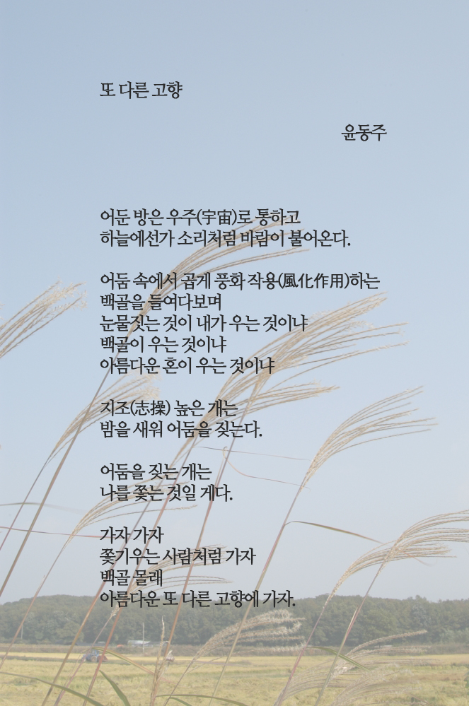 d696e077-e000-49c5-bded-a30d3104ac4f.jpg