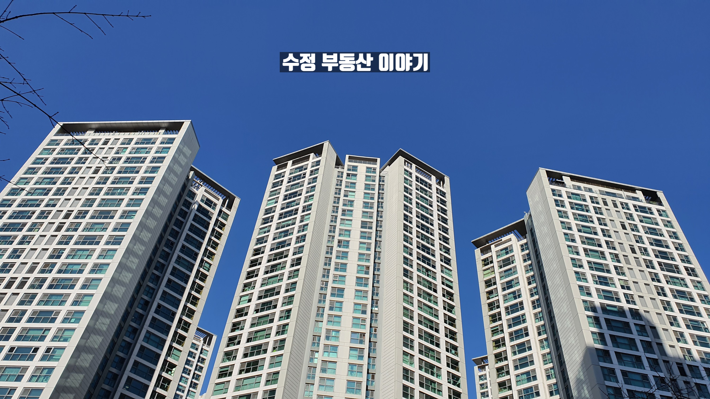 8ff8832b-3c66-444f-ad89-066df13ec1a8.jpg