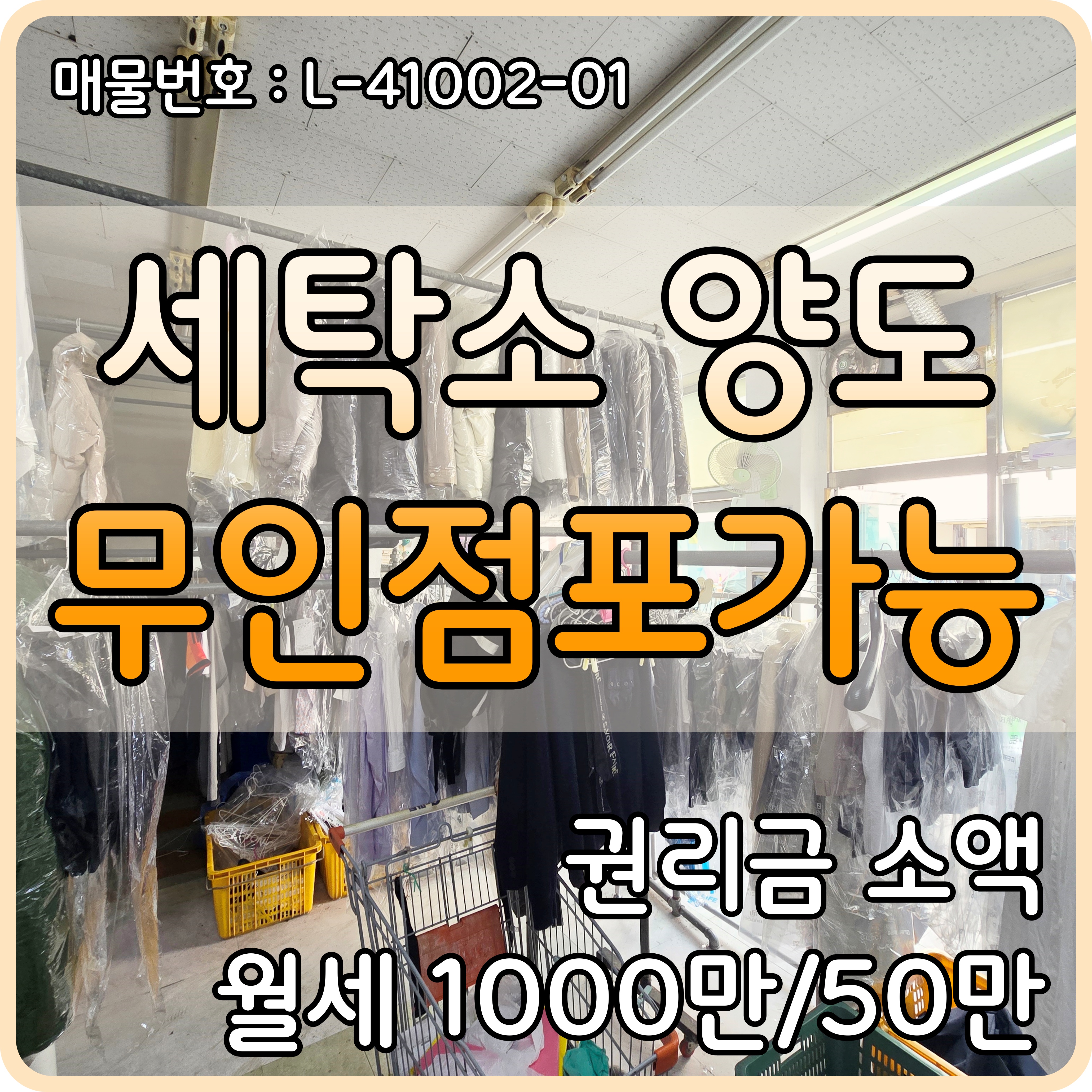 24a8cd24-b0c9-4d50-8814-1364ce96c68f.jpg
