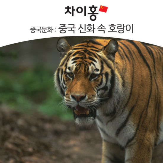 35ef88ac-a743-407d-9cbe-7cef22cd79f4.png